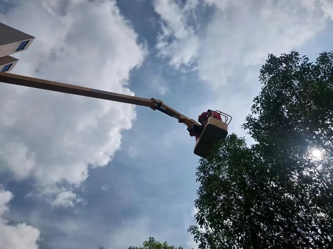 202307067946.jpg 202307067946.jpg